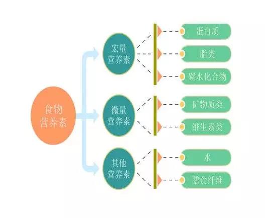1562899369140464